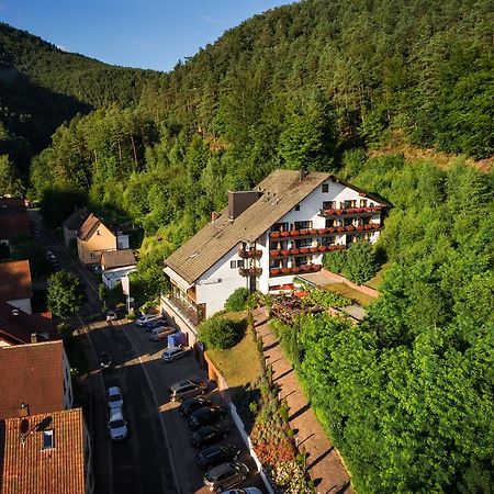 Hotel Die Kleine Blume Erfweiler Екстер'єр фото