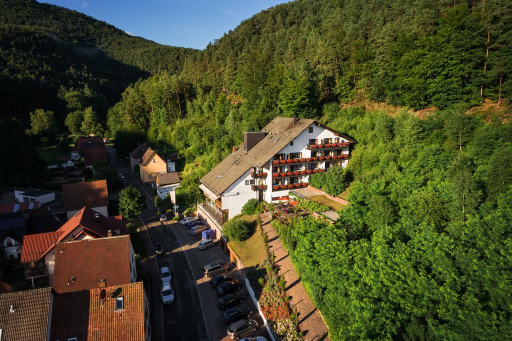 Hotel Die Kleine Blume Erfweiler Екстер'єр фото