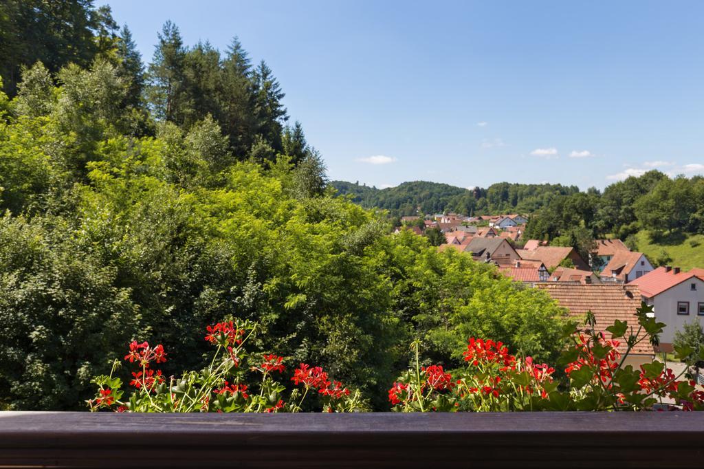 Hotel Die Kleine Blume Erfweiler Екстер'єр фото