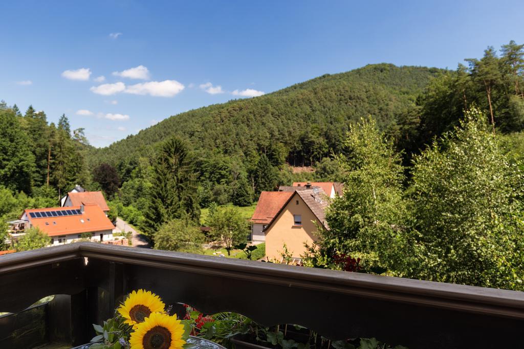 Hotel Die Kleine Blume Erfweiler Екстер'єр фото