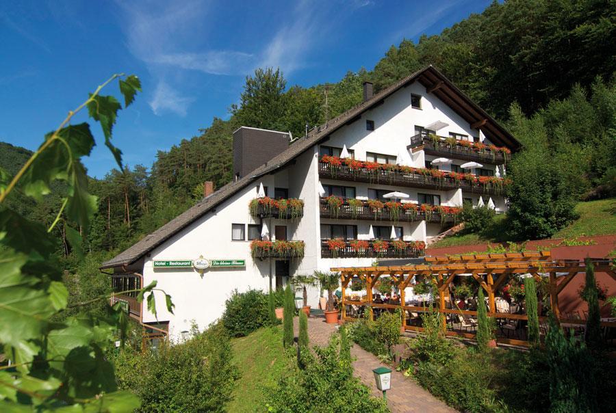 Hotel Die Kleine Blume Erfweiler Екстер'єр фото